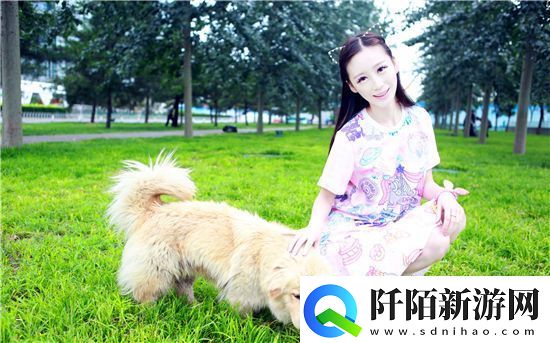 99国精产品源码2024版:最新版优势与使用教程