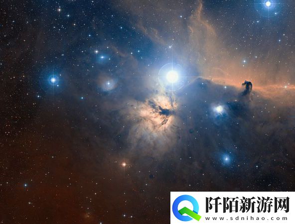 精华液不同类型的特点与使用指南你知道多少呢