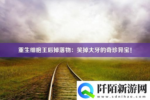 重生细胞王后掉落物