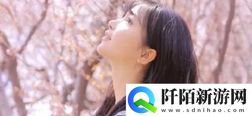 WEYVV5国产SUV视频曝光