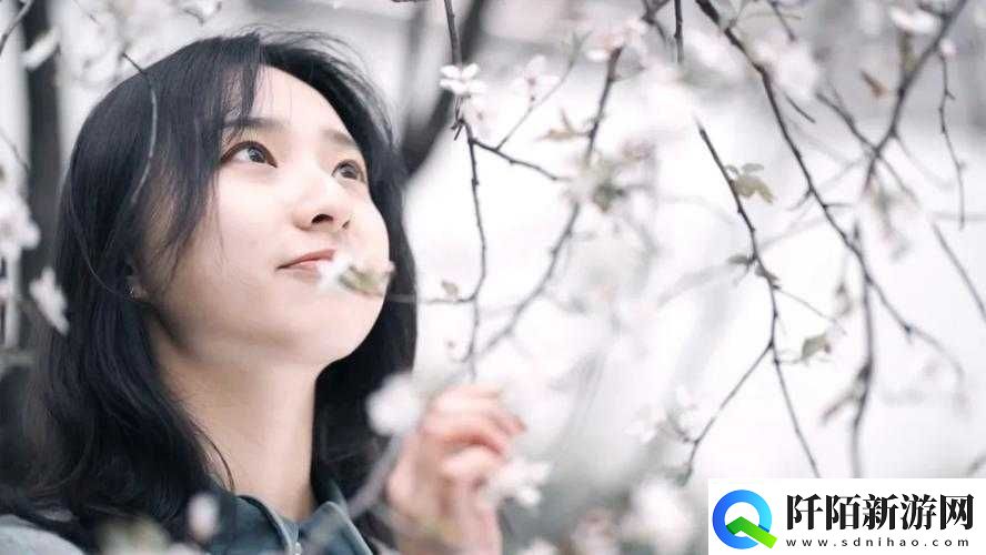 t大校花的悲和泪最火