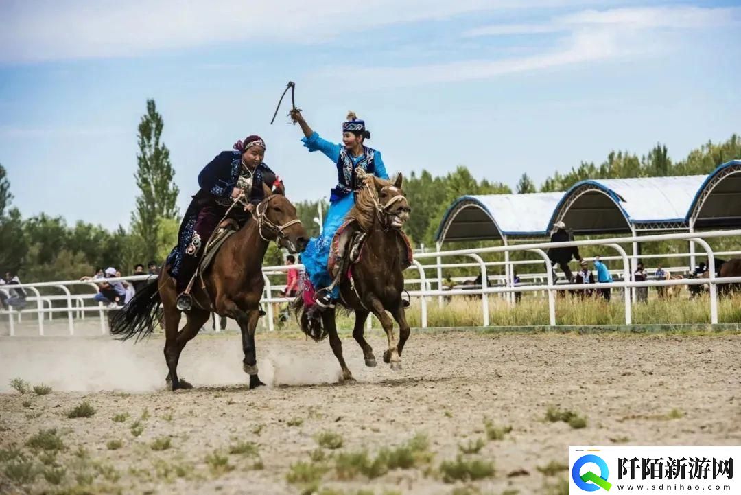 人马畜禽公司免费澎湃号这是搞啥飞机