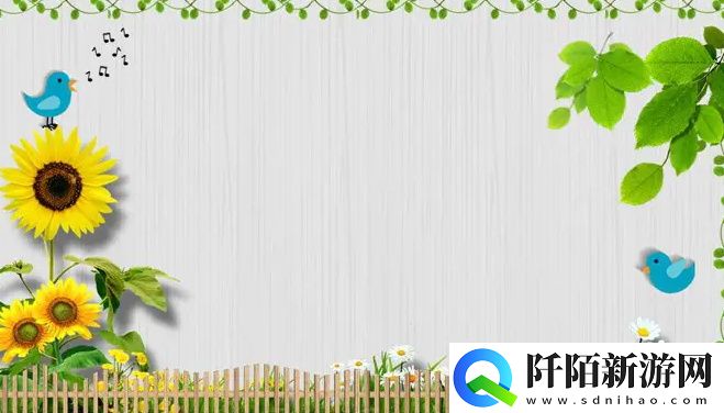 精华区二区区别88888的详细解析与比较