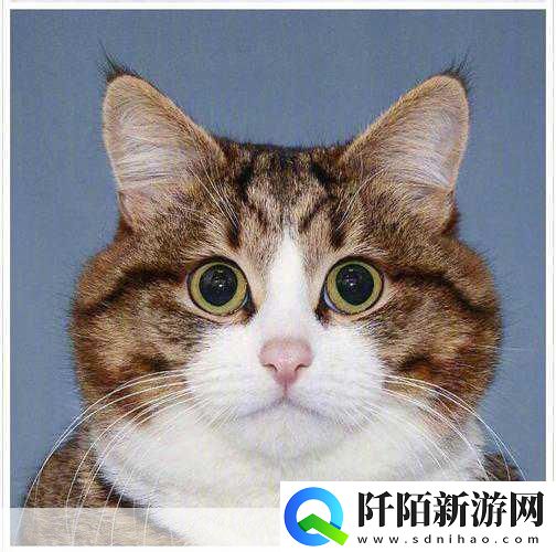 伸舌头的喘气挑战