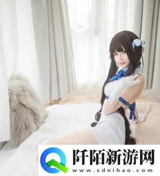 40岁阿姨荒野大镖客一电影内容