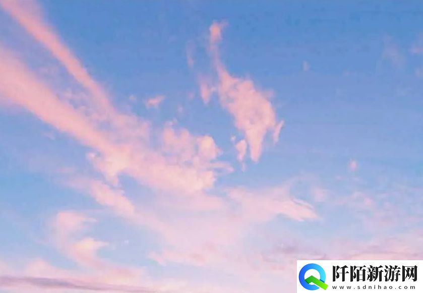 成品网站1688入门网的基本知识与实用技巧