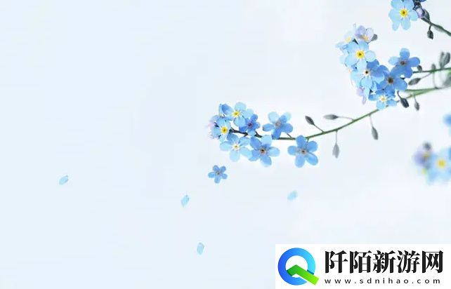 YSL千人千色T9T9T9T9是如何展现个人魅力与风格的独特之选