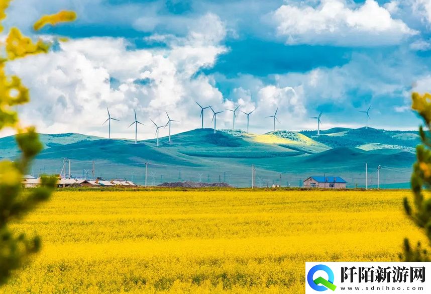 亚洲经典一曲二曲三曲的音乐魅力与文化深度探寻方式