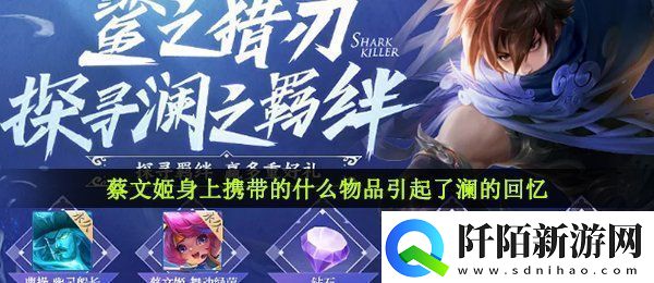 蔡文姬身上携带的什么物品引起了澜的回忆