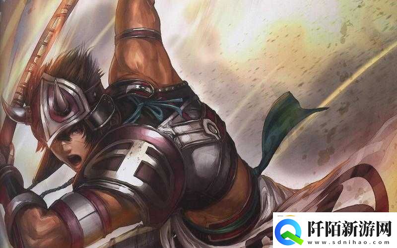 无双大蛇3岛津丰久角色详解