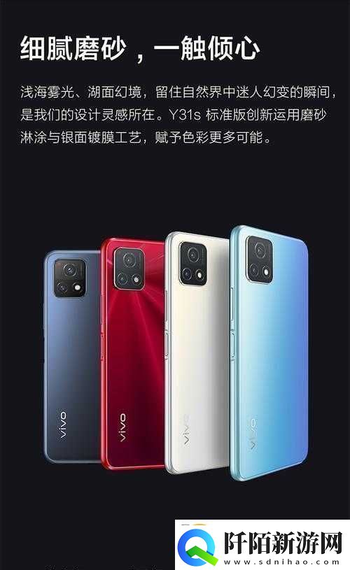 成色好的Y31S标准版