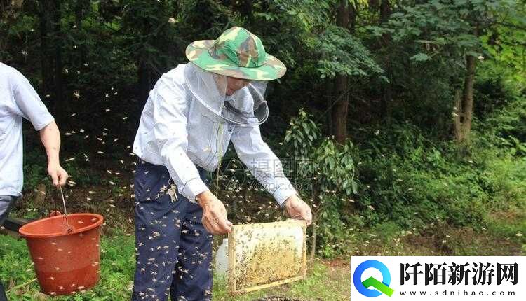 采蜜1V1H方橙采意