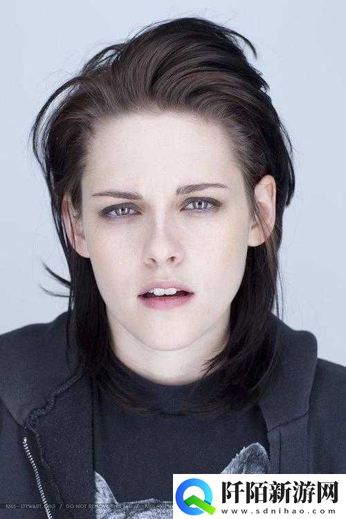 幻想战记骑士克里斯丁角色介绍