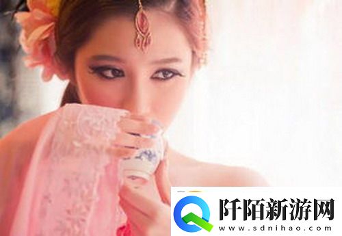 日本windowsserver网友