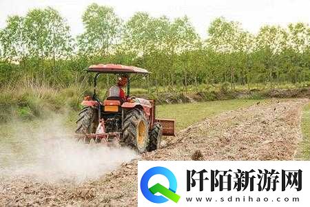 儿子耕种母亲田地寓意