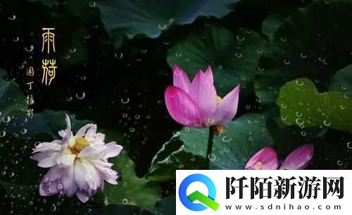 老人船上弄雨荷第十二集跚钢