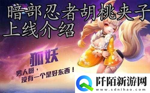 天天风之旅胡桃夹子好不好