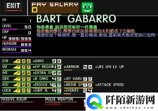 像素海盗游戏攻略修改版