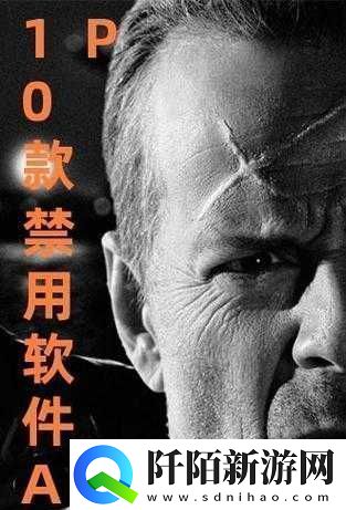 100款夜间禁用APP下载站