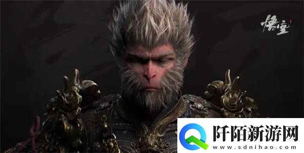 黑神话悟空中的天命是什么