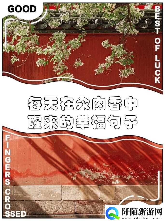 每天都在汆肉中醒来江山