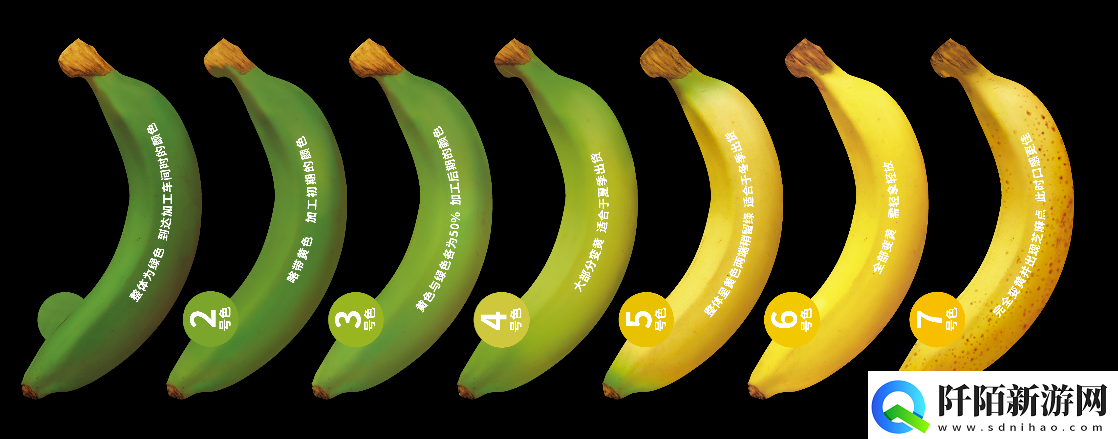 香蕉十八度和二十三度的区别