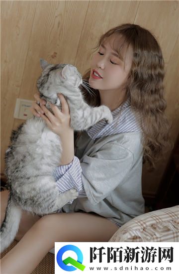 有线高清电视线sywv7