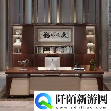 老板的办公桌中字