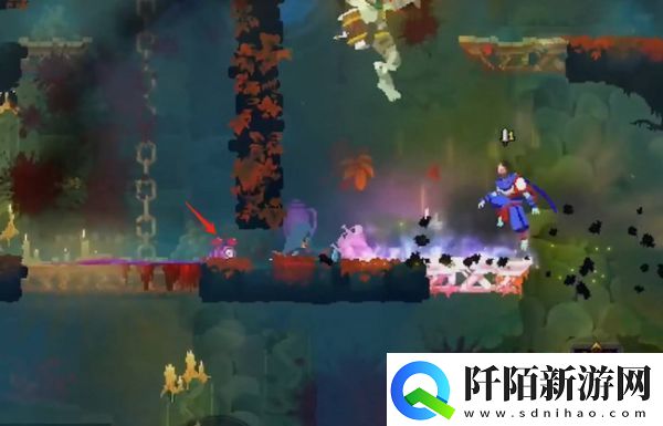 死亡细胞不死海滩怎么进入