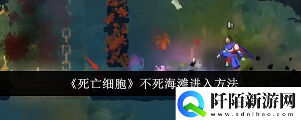 死亡细胞不死海滩怎么进入