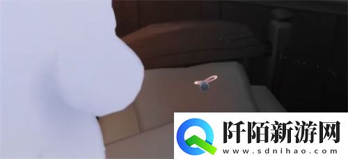 光遇姆明季第二个任务流程详解