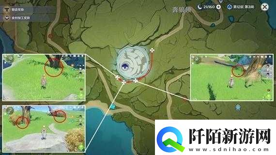 钩钩果位置何处