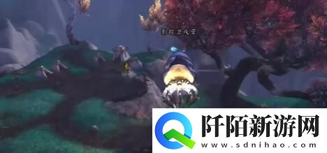 介绍瞎忙的谐奏