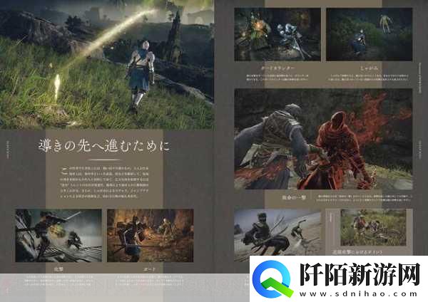 宫崎英高揭秘艾尔登法环背后的极限挑战与未来展望