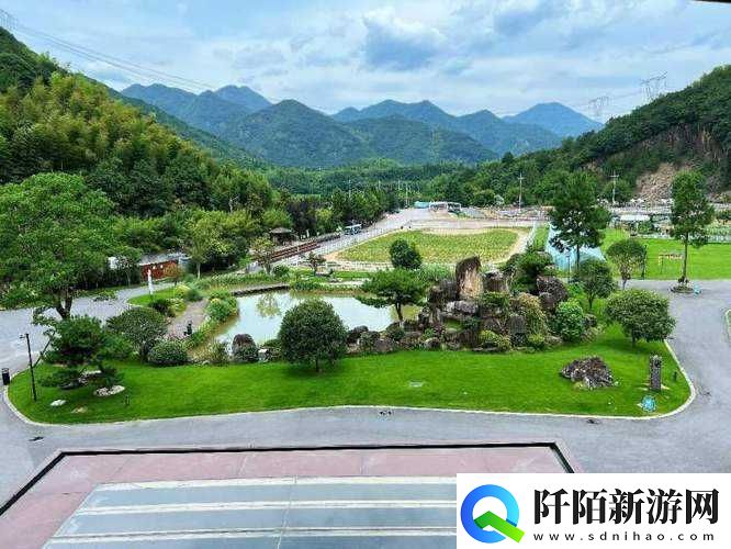 大手向下游走至芳草地的奇妙之旅