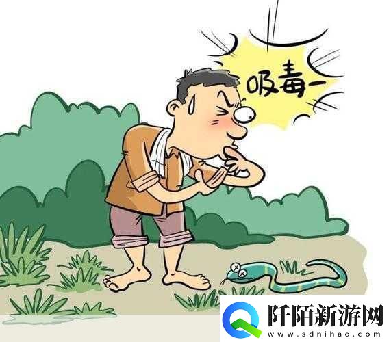 嘴吸蛇毒是正确的吗用嘴吸蛇毒真的有用吗蚂蚁庄园嘴吸蛇毒的真相与误区你真的了解吗