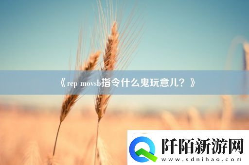 repmovsb指令什么鬼玩意儿