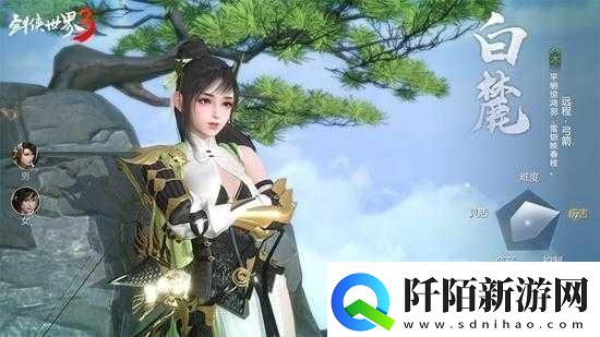剑侠世界3白麓全面解析