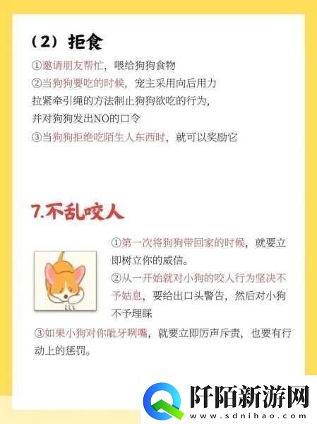 篮球队的公共玩具正伟