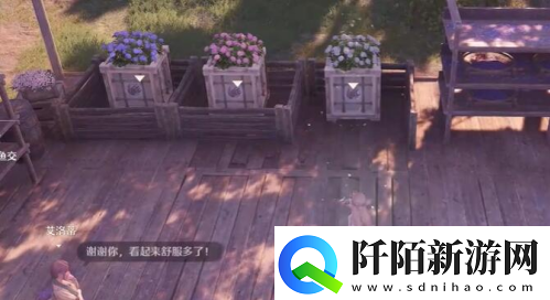 无限暖暖花箱的秩序任务图文流程