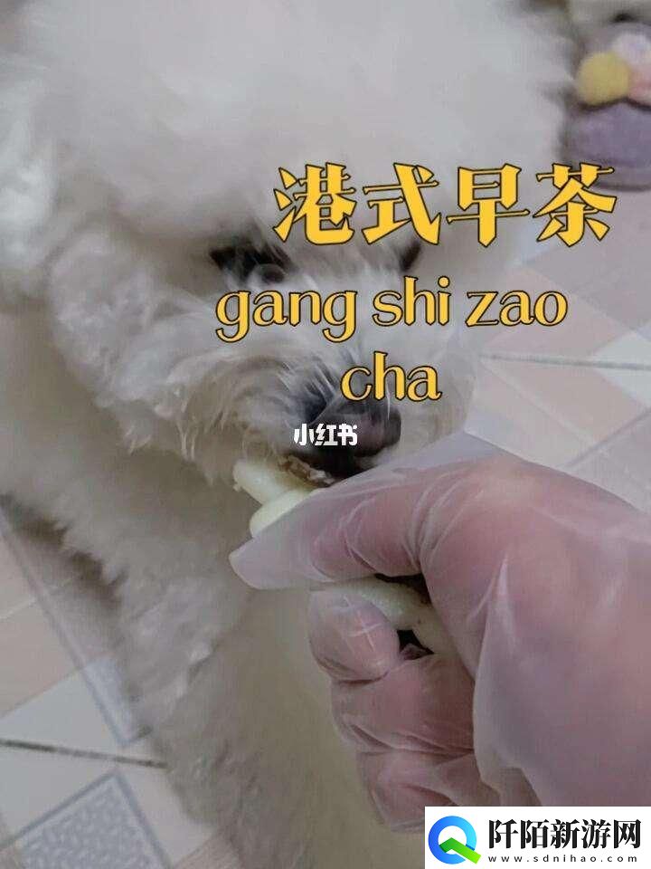 “胶”趣横生配方妙手探秘网坛新焦点