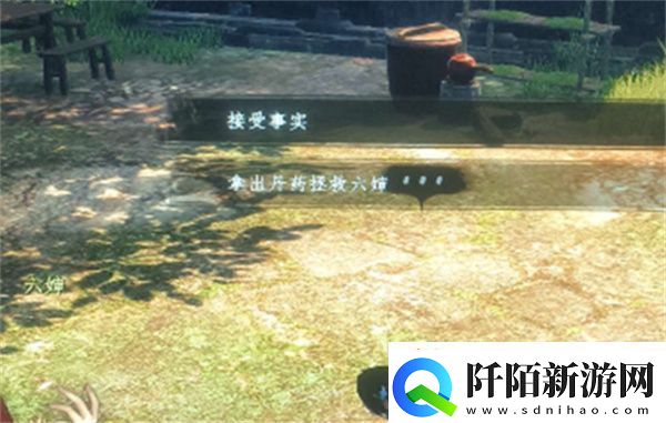 下一站江湖2六婶如何救治