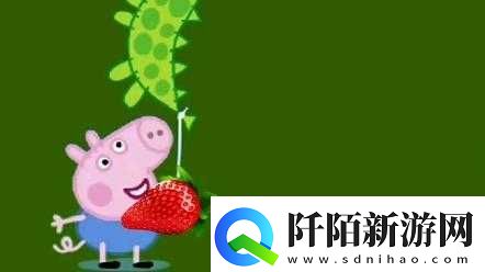 小猪视频草莓视频