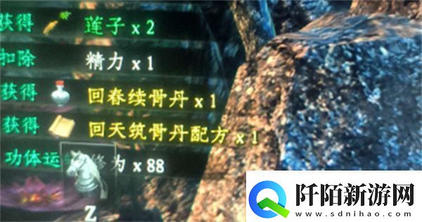 下一站江湖2六婶如何救治