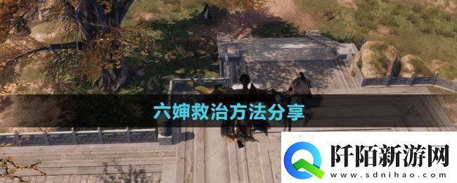 下一站江湖2六婶如何救治