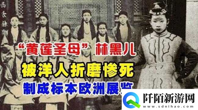 八尺夫人满天星