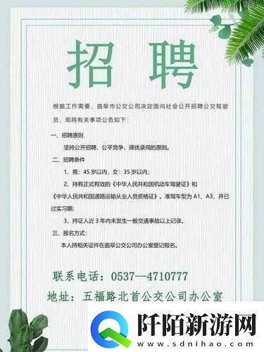 混乱小镇公交车售票员招聘条件