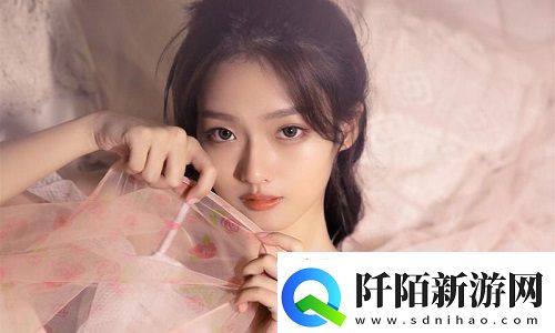 中国Windows野外MGDRCC