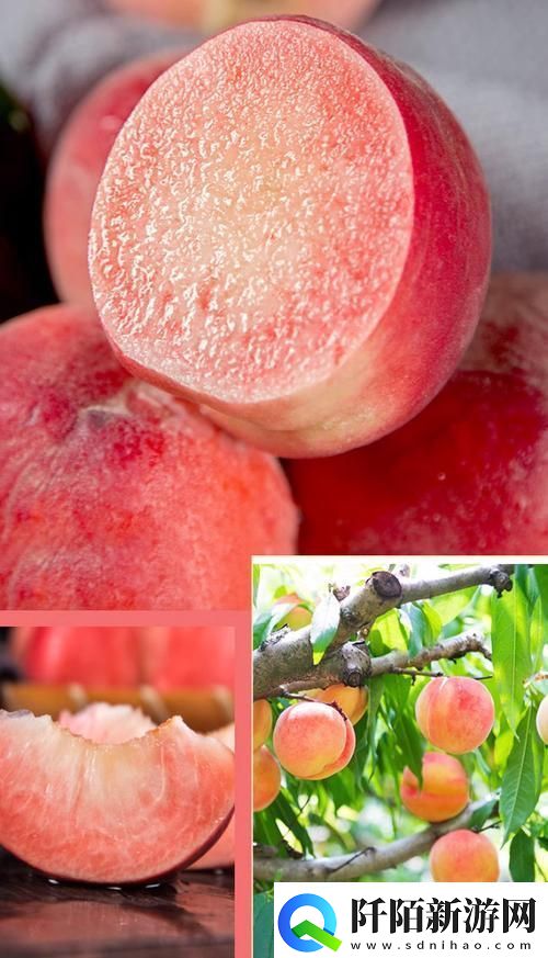 桃醉意国界的新晋网红