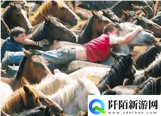 人马大战CRM引发的精彩对决